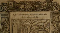 An illustration from Diverse imprese accommodate a diuerse moralità, con versi che i loro significati dichiarano insieme con molte altre nella lingua italiana non piu tradotte (1564)