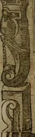 Picture 318 of 345 from Diverse imprese accommodate a diuerse moralità, con versi che i loro significati dichiarano insieme con molte altre nella lingua italiana non piu tradotte (1564), leaf 180