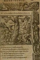 An illustration from Diverse imprese accommodate a diuerse moralità, con versi che i loro significati dichiarano insieme con molte altre nella lingua italiana non piu tradotte (1564)