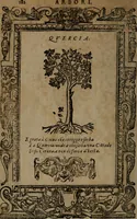 Picture 329 of 345 from Diverse imprese accommodate a diuerse moralità, con versi che i loro significati dichiarano insieme con molte altre nella lingua italiana non piu tradotte (1564), leaf 185