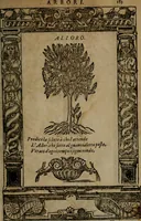 Picture 330 of 345 from Diverse imprese accommodate a diuerse moralità, con versi che i loro significati dichiarano insieme con molte altre nella lingua italiana non piu tradotte (1564), leaf 186