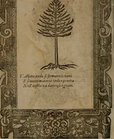 An illustration from Diverse imprese accommodate a diuerse moralità, con versi che i loro significati dichiarano insieme con molte altre nella lingua italiana non piu tradotte (1564)