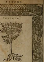 An illustration from Diverse imprese accommodate a diuerse moralità, con versi che i loro significati dichiarano insieme con molte altre nella lingua italiana non piu tradotte (1564)