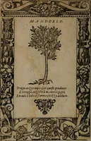 Picture 343 of 345 from Diverse imprese accommodate a diuerse moralità, con versi che i loro significati dichiarano insieme con molte altre nella lingua italiana non piu tradotte (1564), leaf 193