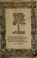 Picture 345 of 345 from Diverse imprese accommodate a diuerse moralità, con versi che i loro significati dichiarano insieme con molte altre nella lingua italiana non piu tradotte (1564), leaf 194