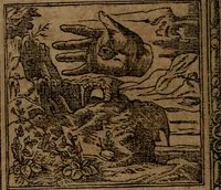 Picture 34 of 345 from Diverse imprese accommodate a diuerse moralità, con versi che i loro significati dichiarano insieme con molte altre nella lingua italiana non piu tradotte (1564), leaf 21