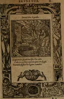 An illustration from Diverse imprese accommodate a diuerse moralità, con versi che i loro significati dichiarano insieme con molte altre nella lingua italiana non piu tradotte (1564)
