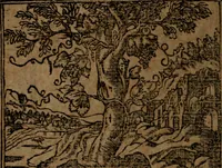 An illustration from Diverse imprese accommodate a diuerse moralità, con versi che i loro significati dichiarano insieme con molte altre nella lingua italiana non piu tradotte (1564)