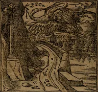Picture 52 of 345 from Diverse imprese accommodate a diuerse moralità, con versi che i loro significati dichiarano insieme con molte altre nella lingua italiana non piu tradotte (1564), leaf 35