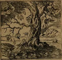 An illustration from Diverse imprese accommodate a diuerse moralità, con versi che i loro significati dichiarano insieme con molte altre nella lingua italiana non piu tradotte (1564)