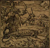 An illustration from Diverse imprese accommodate a diuerse moralità, con versi che i loro significati dichiarano insieme con molte altre nella lingua italiana non piu tradotte (1564)