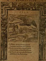 An illustration from Diverse imprese accommodate a diuerse moralità, con versi che i loro significati dichiarano insieme con molte altre nella lingua italiana non piu tradotte (1564)