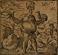 An illustration from Diverse imprese accommodate a diuerse moralità, con versi che i loro significati dichiarano insieme con molte altre nella lingua italiana non piu tradotte (1564)