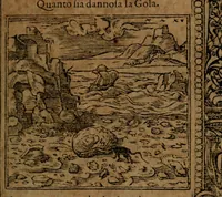 Picture 162 of 345 from Diverse imprese accommodate a diuerse moralità, con versi che i loro significati dichiarano insieme con molte altre nella lingua italiana non piu tradotte (1564), leaf 96