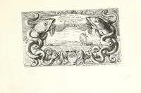 Picture 12 of 30 from Diuerses especes de poissons de mer (1664), leaf 29