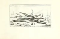 Picture 28 of 30 from Diuerses especes de poissons de mer (1664), leaf 67