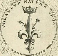 Picture 258 of 742 from Symbola diuina & humana pontificvm, imperatorvm, regvm : accessit breuis & facilis isagoge Iac. Typotii : ex mvsaeo Octavii de Strada civis Romani : tomus primus[-tertius] (1601), leaf 128