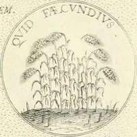 An illustration from Symbola diuina & humana pontificvm, imperatorvm, regvm : accessit breuis & facilis isagoge Iac. Typotii : ex mvsaeo Octavii de Strada civis Romani : tomus primus[-tertius] (1601)