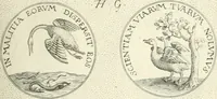 An illustration from Symbola diuina & humana pontificvm, imperatorvm, regvm : accessit breuis & facilis isagoge Iac. Typotii : ex mvsaeo Octavii de Strada civis Romani : tomus primus[-tertius] (1601)