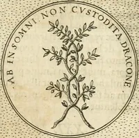 Picture 293 of 742 from Symbola diuina & humana pontificvm, imperatorvm, regvm : accessit breuis & facilis isagoge Iac. Typotii : ex mvsaeo Octavii de Strada civis Romani : tomus primus[-tertius] (1601), leaf 252