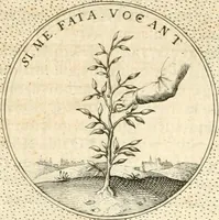 An illustration from Symbola diuina & humana pontificvm, imperatorvm, regvm : accessit breuis & facilis isagoge Iac. Typotii : ex mvsaeo Octavii de Strada civis Romani : tomus primus[-tertius] (1601)