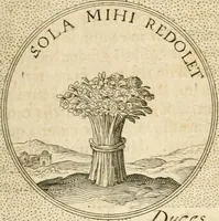 Picture 524 of 742 from Symbola diuina & humana pontificvm, imperatorvm, regvm : accessit breuis & facilis isagoge Iac. Typotii : ex mvsaeo Octavii de Strada civis Romani : tomus primus[-tertius] (1601), leaf 454