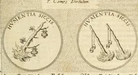 Picture 526 of 742 from Symbola diuina & humana pontificvm, imperatorvm, regvm : accessit breuis & facilis isagoge Iac. Typotii : ex mvsaeo Octavii de Strada civis Romani : tomus primus[-tertius] (1601), leaf 454