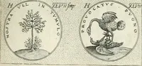Picture 182 of 742 from Symbola diuina & humana pontificvm, imperatorvm, regvm : accessit breuis & facilis isagoge Iac. Typotii : ex mvsaeo Octavii de Strada civis Romani : tomus primus[-tertius] (1601), leaf 96