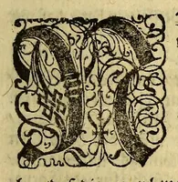 An illustration from Diurnal der nassawischen Flotta, : oder Tagregister, vnd historische, ordentliche Beschreibung einer gewaltigen mächtigen Schiffahrt, vmb die gantze Erdkugel rund vmbhr. Von den hochmögenden Herren Staden angestellet, vnd durch die Abgeordneten glücklich vollbracht, in den 1623. 1624. 1625. 1626. vnd 1627. Jahren verrichtet. ... (1629)