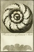 Picture 53 of 57 from Manuale di varj ornamenti tratti dalle fabbriche, e frammenti antichi : per uso, e commodo de' pittori, scultori, architetti, scarpellini, stuccatori, intagliatori di pietre, e legni, argentieri, giojellieri, ricamatori, ebanisti & c. (1781), leaf 102