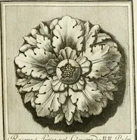 Picture 10 of 57 from Manuale di varj ornamenti tratti dalle fabbriche, e frammenti antichi : per uso, e commodo de' pittori, scultori, architetti, scarpellini, stuccatori, intagliatori di pietre, e legni, argentieri, giojellieri, ricamatori, ebanisti & c. (1781), leaf 18