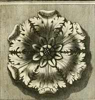 Picture 13 of 57 from Manuale di varj ornamenti tratti dalle fabbriche, e frammenti antichi : per uso, e commodo de' pittori, scultori, architetti, scarpellini, stuccatori, intagliatori di pietre, e legni, argentieri, giojellieri, ricamatori, ebanisti & c. (1781), leaf 22