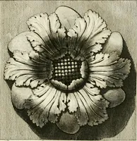 An illustration from Manuale di varj ornamenti tratti dalle fabbriche, e frammenti antichi : per uso, e commodo de' pittori, scultori, architetti, scarpellini, stuccatori, intagliatori di pietre, e legni, argentieri, giojellieri, ricamatori, ebanisti & c. (1781)