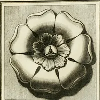 An illustration from Manuale di varj ornamenti tratti dalle fabbriche, e frammenti antichi : per uso, e commodo de' pittori, scultori, architetti, scarpellini, stuccatori, intagliatori di pietre, e legni, argentieri, giojellieri, ricamatori, ebanisti & c. (1781)