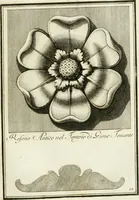 Picture 19 of 57 from Manuale di varj ornamenti tratti dalle fabbriche, e frammenti antichi : per uso, e commodo de' pittori, scultori, architetti, scarpellini, stuccatori, intagliatori di pietre, e legni, argentieri, giojellieri, ricamatori, ebanisti & c. (1781), leaf 34