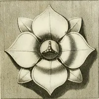 Picture 22 of 57 from Manuale di varj ornamenti tratti dalle fabbriche, e frammenti antichi : per uso, e commodo de' pittori, scultori, architetti, scarpellini, stuccatori, intagliatori di pietre, e legni, argentieri, giojellieri, ricamatori, ebanisti & c. (1781), leaf 42