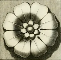An illustration from Manuale di varj ornamenti tratti dalle fabbriche, e frammenti antichi : per uso, e commodo de' pittori, scultori, architetti, scarpellini, stuccatori, intagliatori di pietre, e legni, argentieri, giojellieri, ricamatori, ebanisti & c. (1781)
