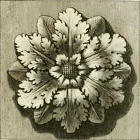 Picture 25 of 57 from Manuale di varj ornamenti tratti dalle fabbriche, e frammenti antichi : per uso, e commodo de' pittori, scultori, architetti, scarpellini, stuccatori, intagliatori di pietre, e legni, argentieri, giojellieri, ricamatori, ebanisti & c. (1781), leaf 48