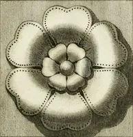 Picture 29 of 57 from Manuale di varj ornamenti tratti dalle fabbriche, e frammenti antichi : per uso, e commodo de' pittori, scultori, architetti, scarpellini, stuccatori, intagliatori di pietre, e legni, argentieri, giojellieri, ricamatori, ebanisti & c. (1781), leaf 58