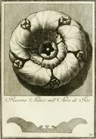 Picture 39 of 57 from Manuale di varj ornamenti tratti dalle fabbriche, e frammenti antichi : per uso, e commodo de' pittori, scultori, architetti, scarpellini, stuccatori, intagliatori di pietre, e legni, argentieri, giojellieri, ricamatori, ebanisti & c. (1781), leaf 78