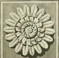 Picture 5 of 58 from Manuale di varj ornamenti tratti dalle fabbriche, e frammenti antichi : per uso, e commodo de' pittori, scultori, architetti, scarpellini, stuccatori, intagliatori di pietre, e legni, argentieri, giojellieri, ricamatori, ebanisti & c. (1781), leaf 12