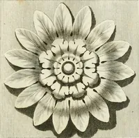 An illustration from Manuale di varj ornamenti tratti dalle fabbriche, e frammenti antichi : per uso, e commodo de' pittori, scultori, architetti, scarpellini, stuccatori, intagliatori di pietre, e legni, argentieri, giojellieri, ricamatori, ebanisti & c. (1781)