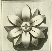 Picture 13 of 58 from Manuale di varj ornamenti tratti dalle fabbriche, e frammenti antichi : per uso, e commodo de' pittori, scultori, architetti, scarpellini, stuccatori, intagliatori di pietre, e legni, argentieri, giojellieri, ricamatori, ebanisti & c. (1781), leaf 24