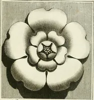 An illustration from Manuale di varj ornamenti tratti dalle fabbriche, e frammenti antichi : per uso, e commodo de' pittori, scultori, architetti, scarpellini, stuccatori, intagliatori di pietre, e legni, argentieri, giojellieri, ricamatori, ebanisti & c. (1781)