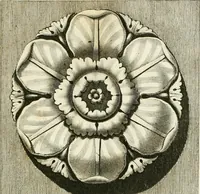 An illustration from Manuale di varj ornamenti tratti dalle fabbriche, e frammenti antichi : per uso, e commodo de' pittori, scultori, architetti, scarpellini, stuccatori, intagliatori di pietre, e legni, argentieri, giojellieri, ricamatori, ebanisti & c. (1781)