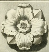 An illustration from Manuale di varj ornamenti tratti dalle fabbriche, e frammenti antichi : per uso, e commodo de' pittori, scultori, architetti, scarpellini, stuccatori, intagliatori di pietre, e legni, argentieri, giojellieri, ricamatori, ebanisti & c. (1781)