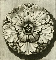 An illustration from Manuale di varj ornamenti tratti dalle fabbriche, e frammenti antichi : per uso, e commodo de' pittori, scultori, architetti, scarpellini, stuccatori, intagliatori di pietre, e legni, argentieri, giojellieri, ricamatori, ebanisti & c. (1781)