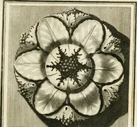 An illustration from Manuale di varj ornamenti tratti dalle fabbriche, e frammenti antichi : per uso, e commodo de' pittori, scultori, architetti, scarpellini, stuccatori, intagliatori di pietre, e legni, argentieri, giojellieri, ricamatori, ebanisti & c. (1781)