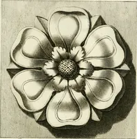 An illustration from Manuale di varj ornamenti tratti dalle fabbriche, e frammenti antichi : per uso, e commodo de' pittori, scultori, architetti, scarpellini, stuccatori, intagliatori di pietre, e legni, argentieri, giojellieri, ricamatori, ebanisti & c. (1781)