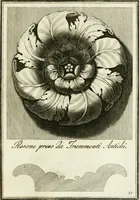 An illustration from Manuale di varj ornamenti tratti dalle fabbriche, e frammenti antichi : per uso, e commodo de' pittori, scultori, architetti, scarpellini, stuccatori, intagliatori di pietre, e legni, argentieri, giojellieri, ricamatori, ebanisti & c. (1781)